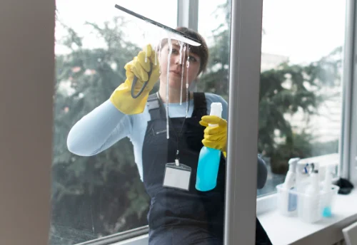 Nettoyage de vitres intérieures et extérieures à Vandeins